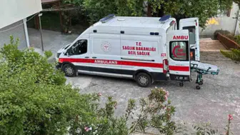 Dut toplarken ağaçtan düşüp yaralandı