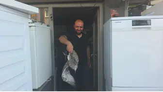 Martı yavrusu beyaz eşya tamircisini karıştırdı