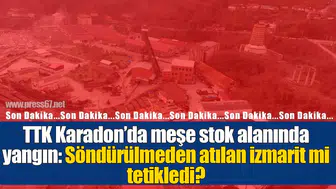 TTK Karadon’da meşe stok alanında yangın: Söndürülmeden atılan izmarit mi tetikledi?