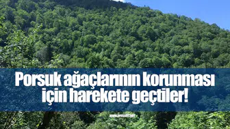 Porsuk ağaçlarının korunması için uluslararası konsorsiyum harekete geçti