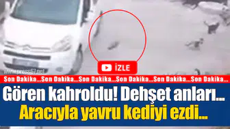 Gören kahroldu! Dehşet anları...Aracıyla yavru kediyi böyle ezdi...