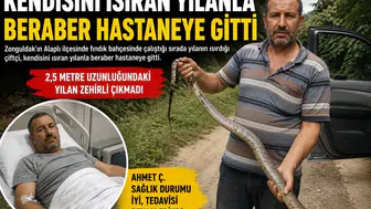 Alaplı’daki ‘Yılanı Yakalayıp Hastaneye Gitti’ asılsız çıktı
