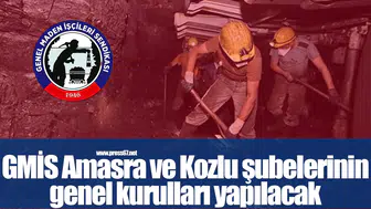 GMİS Amasra ve Kozlu şubelerinin genel kurulları yapılacak