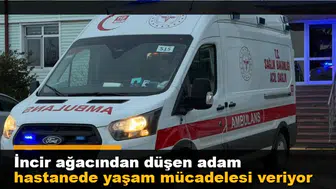 İncir ağacından düşen adam hastanede yaşam mücadelesi veriyor