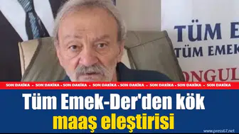 Tüm Emek-Der'den kök maaş eleştirisi