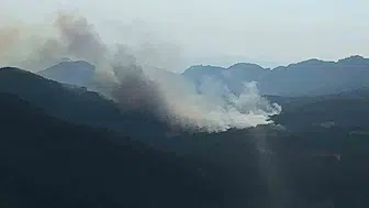Bolu'da orman yangını riski bugün zirve yapacak