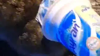 Kafasına ayran kabı sıkışan kedi, yardım için itfaiyeye gitti.