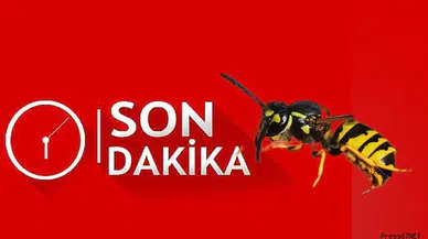 Bahçede çalışan kadın hayatının şokunu yaşadı