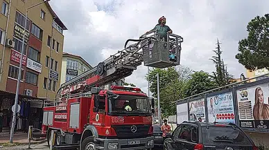 Kargadan kaçan yavru kedi ağaçta mahsur kaldı..İmdadına itfaiye koştu  