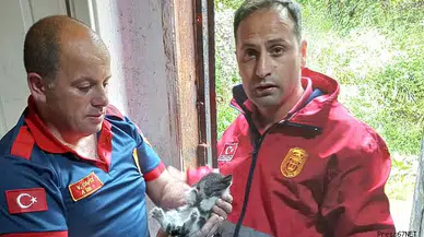 Kurtardığı yavru kediyi bakın nasıl sevdi!