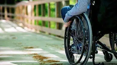 Sandığa taşınacaklar!