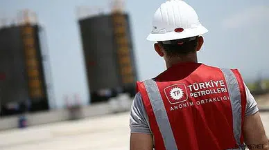 TPAO 450 personel alıyor! İşte ayrıntılar...