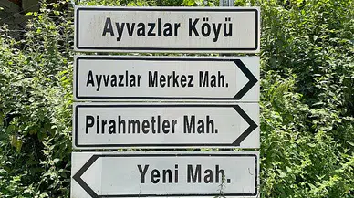 Ayvazlar köyü referandumda 'Evet' dedi