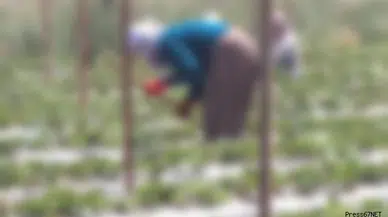 59 yaşındaki Fatma Aydın, bahçede ölü bulundu!