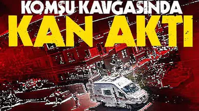 Husumetli iki komşu arasında kavga çıktı: 1 yaralı