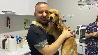 Köpeğin rahminden 2 kilo enfeksiyon çıktı