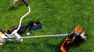 Ot temizlerken hastanelik oldu!