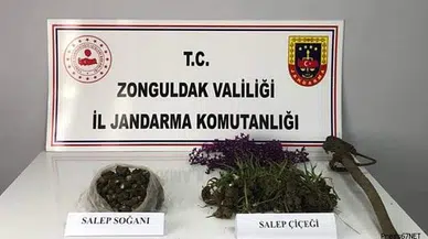 Salep soğanı toplayanlara 2 milyon lira ceza kesildi