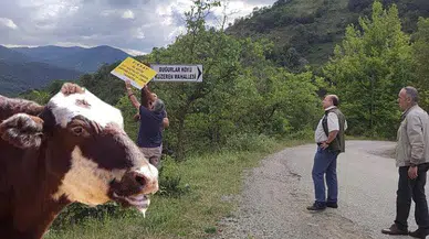 Şap hastalığı nedeniyle kurban satış yerleri kapatıldı