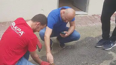 Vatandaşların bulduğu tilki yavrusu koruma altına alındı