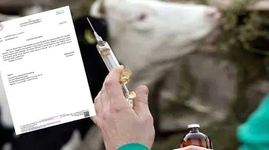 Çaycuma’ da şap hastalığı tespit edilmedi!