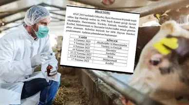 Şap hastalığı bu kez Gökçebey’de görüldü!