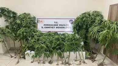 Uyuşturucu operasyonunda 1 kişi tutuklandı