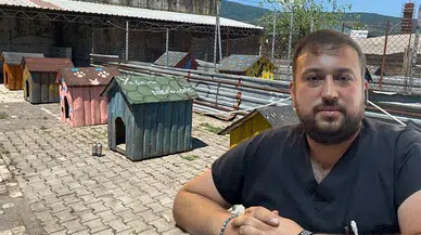 Her şey sokak hayvanları için..