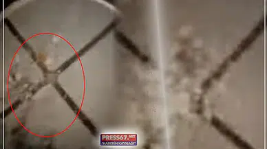 Şok iddia; Halka fare dışkısı yediren esnafın cezası kesildi