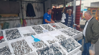 Zonguldak'ta Balıkçılar Soğuk Havayı ve Bol Balığı Bekliyor