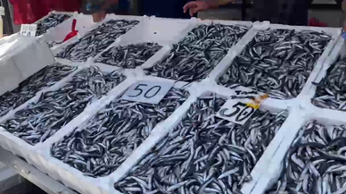 Hamsi bollaştı tezgahlar şenlendi