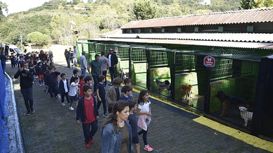 Miniklerden Sevimli Dostlara Ziyaret