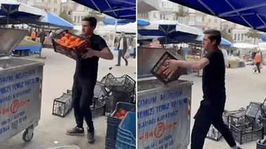 Domatesi çöpe döken pazarcıya 17,2 milyon para cezası