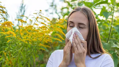 Bahar Nezlesinde Yeni Dönem: Tedavi Yöntemleri ve İpuçları