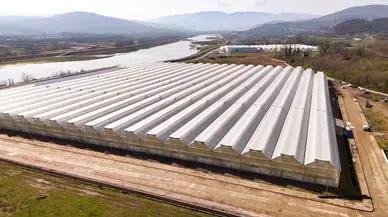 Çaycuma Sera Organize Tarım Bölgesi üretime başladı