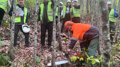 Zonguldak Orman Bölge Müdürlüğü silvikültür eğitimlerini tamamladı