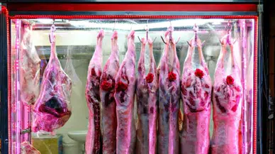 Kırmızı et üretimi bir önceki yıla göre yüzde 10,5 geriledi