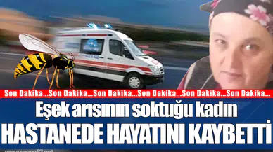 Zonguldak'ta eşek arısının soktuğu kadın hayatını kaybetti