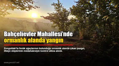 Bahçelievler'de Orman Yangını Kontrol Altına Alındı, İnceleme Başlatıldı