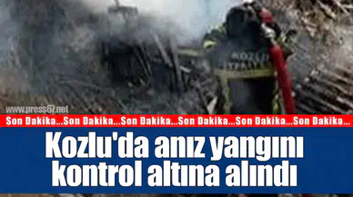 Kozlu'da anız yangını kontrol altına alındı