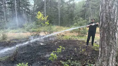Karabük'te örtü yangını büyümeden kontrol altına alındı