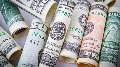 Dolar ve euro fiyatları 29 Temmuz'da ne kadar oldu