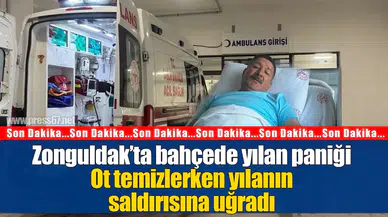 Zonguldak’ta bahçede yılan paniği: Ayağından ısırılan Kamil Kaçar 1 gün gözetim altında