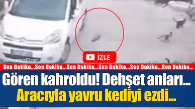 Gören kahroldu! Dehşet anları...Aracıyla yavru kediyi böyle ezdi...