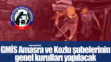 GMİS Amasra ve Kozlu şubelerinin genel kurulları yapılacak