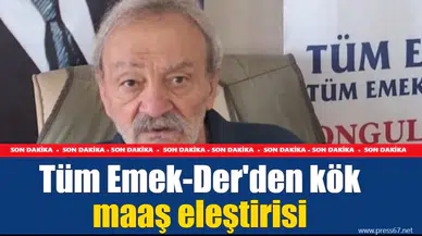 Tüm Emek-Der'den kök maaş eleştirisi