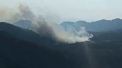 Bolu'da orman yangını riski bugün zirve yapacak