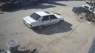 Bolu'da köpek üzerinden geçen sürücü gözaltında