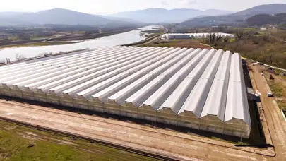 Çaycuma Sera Organize Tarım Bölgesi üretime başladı