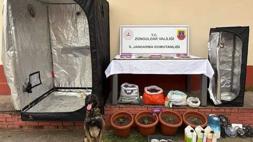 Çaycuma'da jandarmadan uyuşturucu serasına baskın: 2 tutuklama